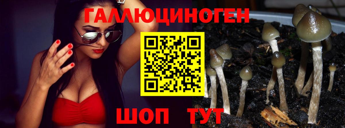 Псилоцибиновые грибы ЛСД Сергиев Посад